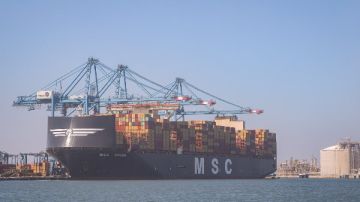 ميناء دمياط يستقبل سفينة الحاويات العملاقة MSC ARINA من تركيا