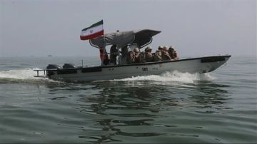 وزير الخارجية الألماني: لا توجد علامات على وجود ألغام في مضيق هرمز