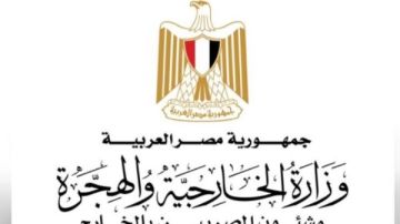 وزارة الخارجية: أوضاع المصريين في الخليج والمشرق مطمئنة والعودة إلى مصر مستمرة