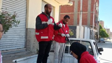 أخبار قنا: تحصين 48 كلبا ضالا خلال حملات الطب البيطرى.. رفع درجة الاستعداد القصوى لمواجهة تداعيات الطقس