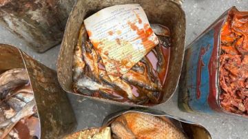 ضبط 250 كيلو أسماك فاسدة في حملة خلال إجازة عيد الفطر بأسيوط