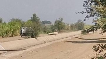 استجابة لشكاوى الأهالي.. ضبط سيارة تفرغ مخلفات صرف صحي بترعة في قنا