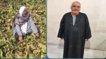 بوظ أرضه كيدا في ولاد أخوه لسبب صادم بكفر الشيخ حكاية مثيرة