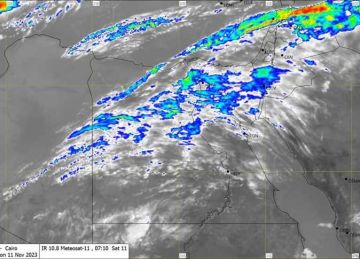 التقلبات الجوية في مصر.. اختبار حقيقي لقدرة الإدارة البيئية على التكيف مع مناخ متغير