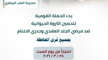 السبت.. حملة قومية لتحصين الماشية ضد الجلد العقدي وجدرى الأغنام بالشرقية السبت.. حملة قومية لتحصين الماشية ضد الجلد العقدي وجدرى الأغنام بالشرقية