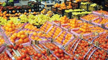 روشتة برلمانية لدعم الصادرات ورفع العائدات الاقتصادية للدولة