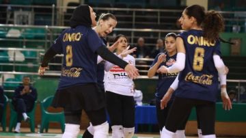 الزمالك والأهلي وجها لوجه في نهائي كأس مصر لآنسات الطائرة الزمالك والأهلي وجها لوجه في نهائي كأس مصر لآنسات الطائرة