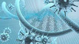 حين يختل المناخ.. كيف تتحول الكوارث الطبيعية إلى وقود لانتشار الأوبئة القاتلة؟ حين يختل المناخ.. كيف تتحول الكوارث الطبيعية إلى وقود لانتشار الأوبئة القاتلة؟