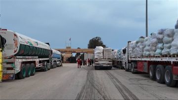 الهلال الأحمر المصري يطلق قافلة زاد العزة 158 لدعم الأشقاء الفلسطينيين الهلال الأحمر المصري يطلق قافلة زاد العزة 158 لدعم الأشقاء الفلسطينيين