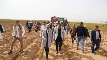 محافظ الوادي الجديد تتفقد مشروعا زراعيا لإنتاج البطاطس والقمح والنباتات العطرية