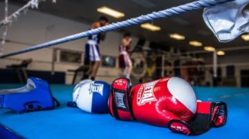 الاتحاد المصري للملاكمة ينظم تجارب انتقاء الملاكمين بالتنسيق مع نظيره السعودي