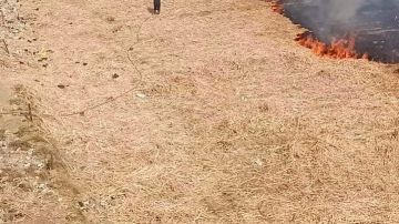 أخبار قنا اعتماد تحديث الحيز العمراني لقرية الشيخ عيسى.. وإزالة 33 حالة تعد خلال إجازة العيد