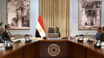 الحكومة: التوسع في توزيع السيارات المبردة ونشرها لبيع السلع بمختلف المدن