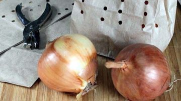 تخزين البصل والثوم بدون ريحة في التلاجة.. حيل عبقرية