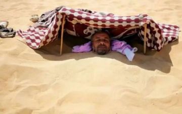 السبكي: نمو إيرادات السياحة العلاجية في مصر بنحو 77 خلال 2025