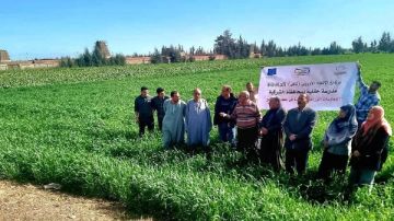 زراعة الشرقية : برامج تدريبية متخصصة للتوسع في الزراعات الحديثة زراعة الشرقية : برامج تدريبية متخصصة للتوسع في الزراعات الحديثة