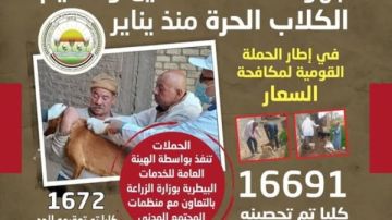 الزراعة: تحصين 16691 كلب حر وتعقيم 1672 ضمن حملة مكافحة السعار الزراعة: تحصين 16691 كلب حر وتعقيم 1672 ضمن حملة مكافحة السعار