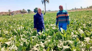 الزراعة: اتخاذ إجراءات حاسمة تجاه أي مخالفات يتم رصدها