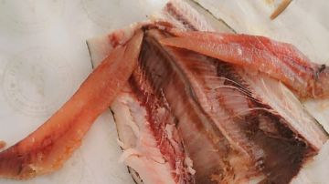 بورسعيد.. ضبط كميات من اللحوم والمصنعات مجهولة المصدر والبيانات