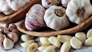 فرصة لربات البيوت.. لماذا انخفضت أسعار الثوم بالأسواق لـ7 جنيهات؟ فرصة لربات البيوت.. لماذا انخفضت أسعار الثوم بالأسواق لـ7 جنيهات؟