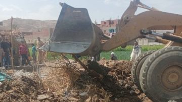 محافظ الغربية يوجه بإزالة 19 حالة تعد على الأراضي الزراعية