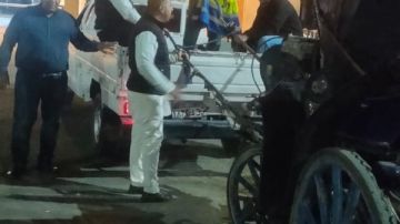 إستكمال تنفيذ حملات التحفظ على عربات الحنطور المخالفة في الأقصر