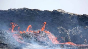 قارة أفريقيا في طريقها إلى الانقسام التدريجي بسبب عفار .. ما القصة؟