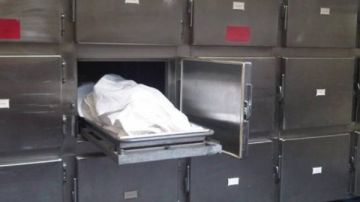 جارة ضحايا كرموز: ريان قعد وسط جثث إخوته يومين في صدمة كاملة