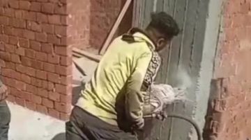 محافظ القليوبية: إزالة عقارات مخالفة بحي شرق شبرا الخيمة ضمن الموجة 28 