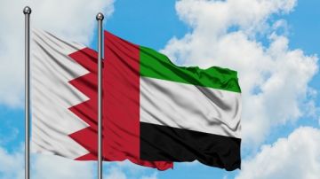 الإمارات تعلن مقتل متعاقد مدني وإصابة 5 جنود في هجوم صاروخي بالبحرين