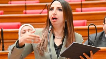 النائبة نشوى الشريف تتقدم بطلب إحاطة بشأن قرار رفع أسعار الوقود النائبة نشوى الشريف تتقدم بطلب إحاطة بشأن قرار رفع أسعار الوقود