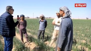 أجمل ناس.. عمرو الليثي يجبر بخاطر عدد من المزارعين ويهديهم جائزة مالية