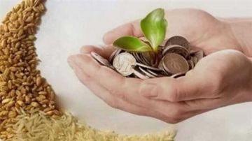 مقدار زكاة الفطر 2026.. كم قيمتها من الأموال أو الحبوب؟