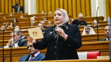 النائبة سحر عتمان تتقدم بطلب إحاطة بشأن تداعيات زيادة أسعار الطاقة على المواطن