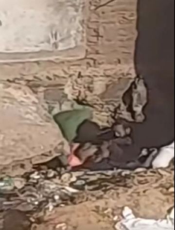 مصر.. تداول فيديو لاغتصاب فتاة وسط الشارع يثير ضجة ومطالب لوزارة الداخلية بتدخل عاجل مصر.. تداول فيديو لاغتصاب فتاة وسط الشارع يثير ضجة ومطالب لوزارة الداخلية بتدخل عاجل