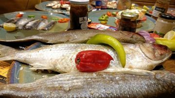 مع اقتراب عيد الفطر.. سلامة الغذاء تقدم إرشادات مهمة لتناول الأسماك المملحة