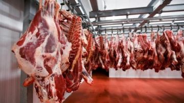 الضأن البلدي بـ 425 جنيها.. أسعار اللحوم اليوم الأربعاء 18 مارس 2026