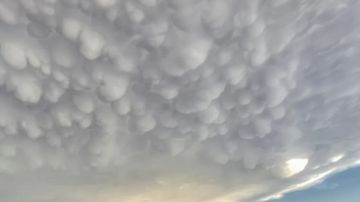 سحب الماماتوس تملأ السماء بجيوب غامضة.. أين ظهرت وماذا نعرف عنها؟ سحب الماماتوس تملأ السماء بجيوب غامضة.. أين ظهرت وماذا نعرف عنها؟