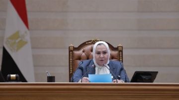 عبلة الهواري تدعم تحرك الحمامصي : الرؤية الإلكترونية تستهدف تعزيز الترابط الأسري