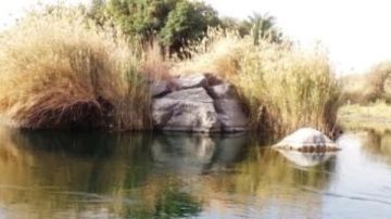 وزيرة التنمية المحلية تعلن استراتيجية لميكنة الخدمات البيئية وتسهيل الموافقات على المشروعات وزيرة التنمية المحلية تعلن استراتيجية لميكنة الخدمات البيئية وتسهيل الموافقات على المشروعات