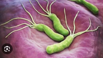 أعراض تدل على الإصابة بجرثومة المعدة .. أسبابها ومضاعفاتها الخطيرة