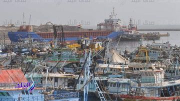 استئناف أنشطة الصيد والملاحة في كفر الشيخ