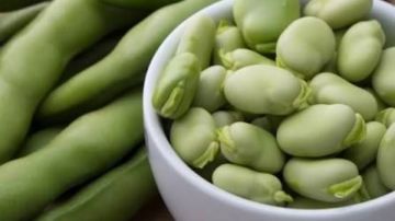 الفول الحراتى.. يعالج أمراضا خطيرة