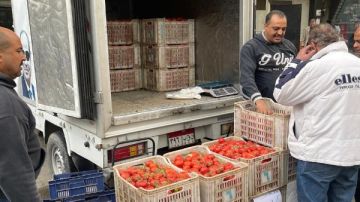 القابضة للصناعات الغذائية تطلق سيارات متنقلة لطرح الطماطم بأسعار مخفضة للمواطنين القابضة للصناعات الغذائية تطلق سيارات متنقلة لطرح الطماطم بأسعار مخفضة للمواطنين