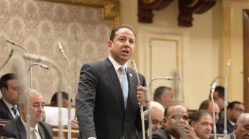 النائب حسن عمار: الرئيس السيسي يقود تحركات إقليمية واسعة لخفض التصعيد