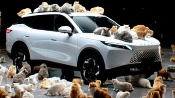 شاهد عشرات القطط تشارك في إعلان سيارة