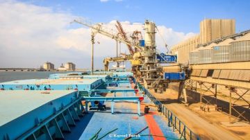 تداول 25 سفينة للحاويات والبضائع العامة بميناء دمياط