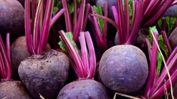 كنز غذائي.. فوائد لا تعلمها عن البنجر كنز غذائي.. فوائد لا تعلمها عن البنجر