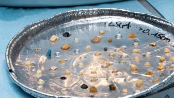 تلوث البلاستيك يضرب سواحل الأطلسي الجنوبية في المغرب