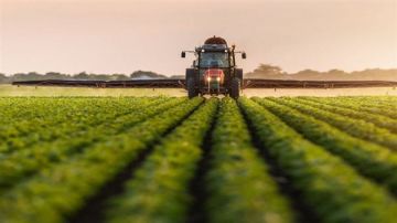 متحدث الزراعة: التواجد الميداني وكارت الفلاح يضمنان وصول الدعم فيديو متحدث الزراعة: التواجد الميداني وكارت الفلاح يضمنان وصول الدعم فيديو